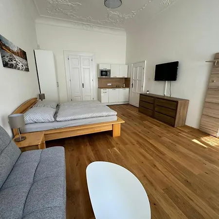 Palackeho Apartment *