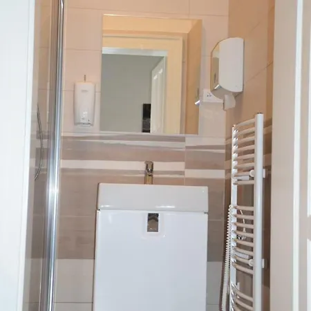 Palackeho Apartment *