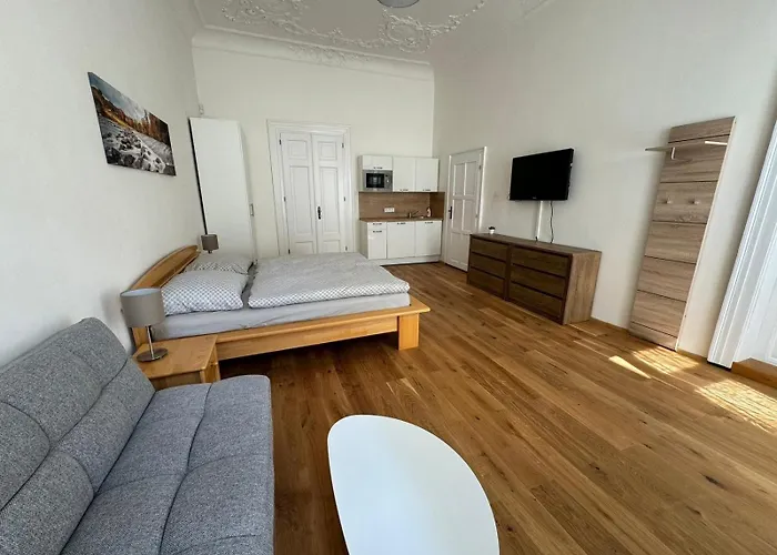 Palackeho Apartment *